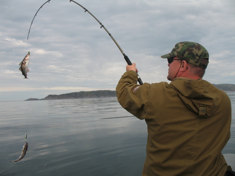 Баренцево 08.2009