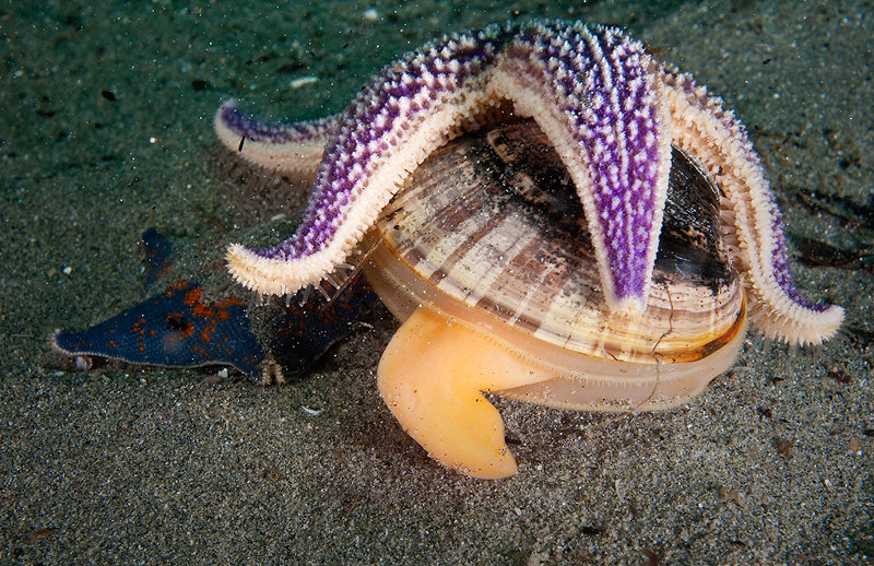 Бухта Витязь