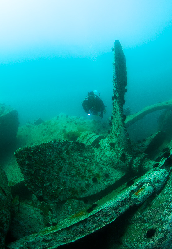 Бухта Витязь