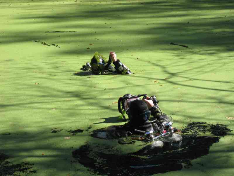 Флорида Флорида