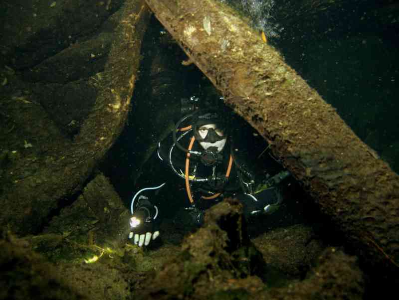 Cow upstream