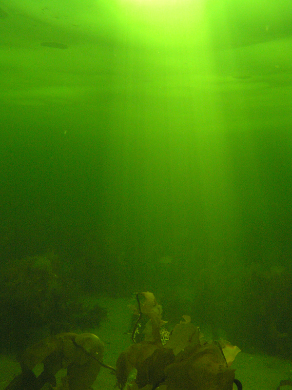 Полярный круг Полярный круг