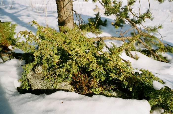 Белое море, ПК, 16-18.03.07 Белое море, ПК, 16-18.03.07