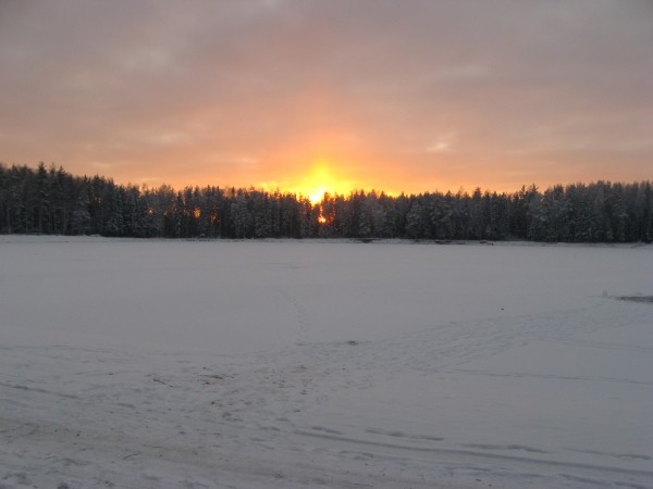 Жабий 19 декабря