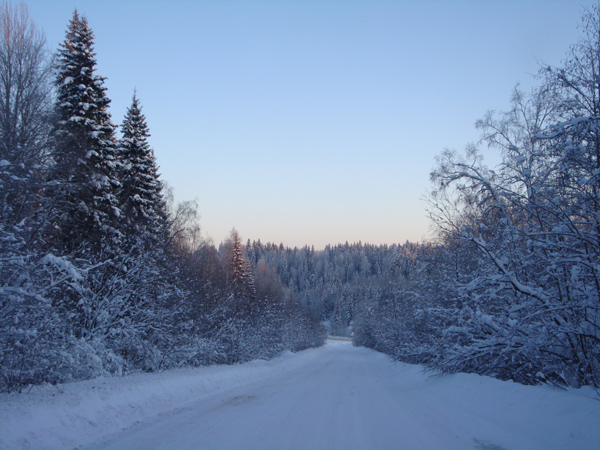 Январь Мрамор 2010