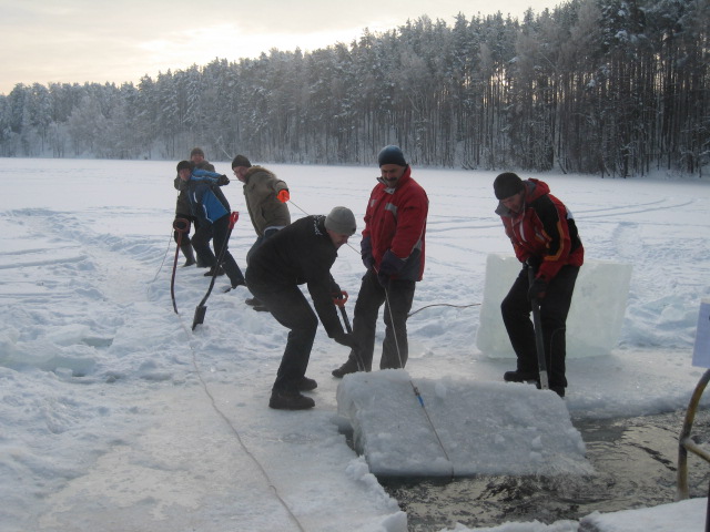 2010