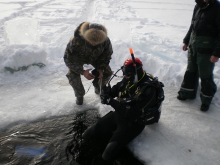 Авроровец на день всех влюбленных Авроровец на день всех влюбленных