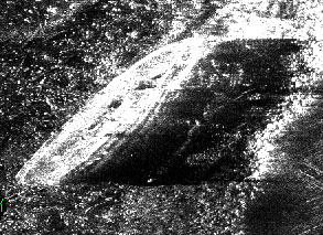1ц
