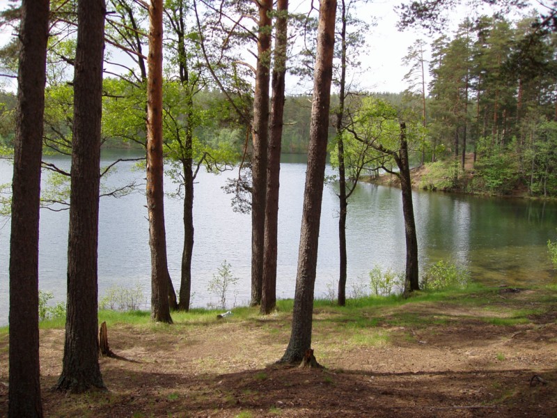 Выезд 29.05.2010 Выезд 29.05.2010