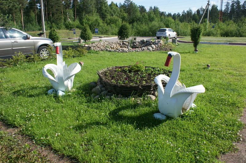 Выезд Барб Дайвер Клуба Выезд Барб Дайвер Клуба