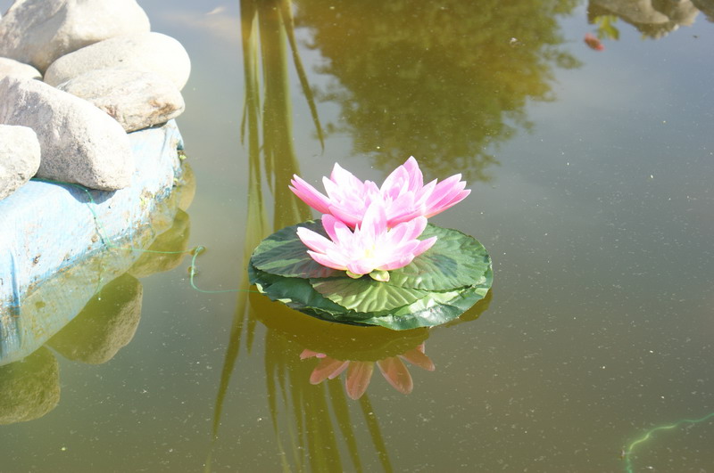 Выезд Барб Дайвер Клуба