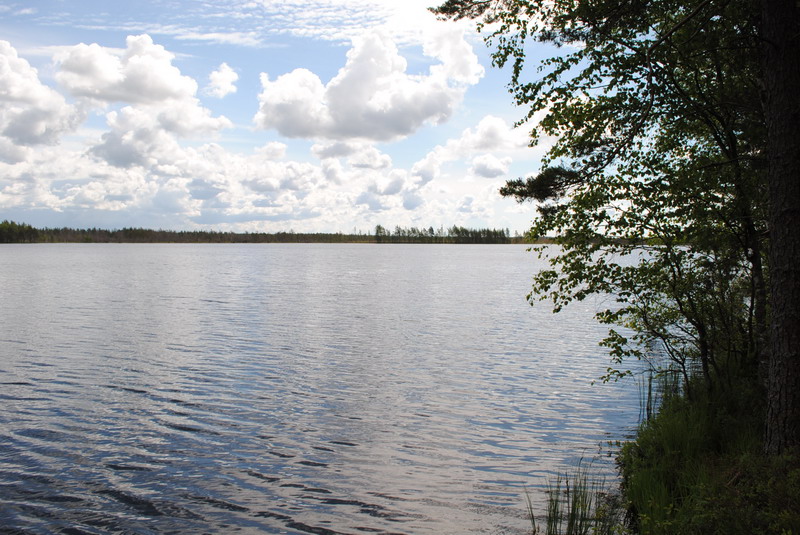 Выезд Барб Дайвер Клуба