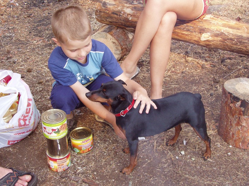 Саперное 10-11 июля