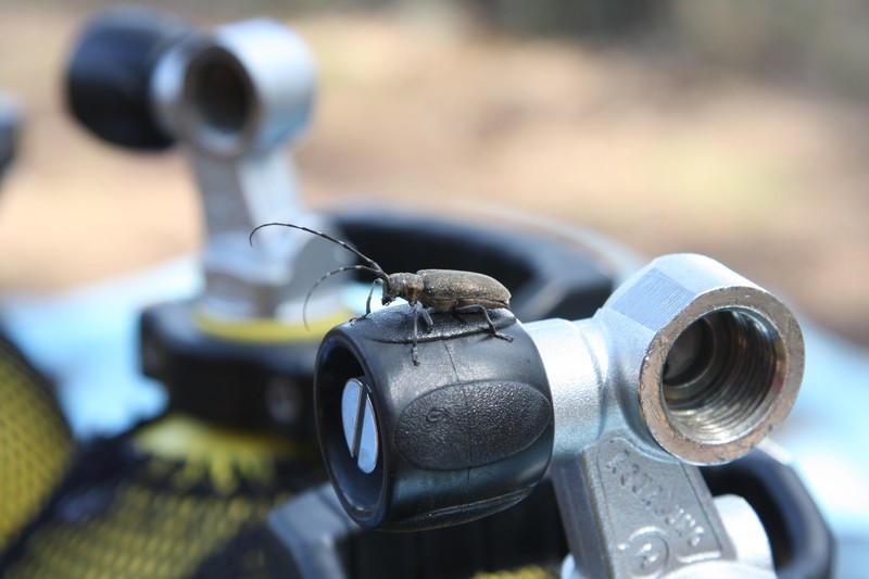 Саперное 17-18 июля