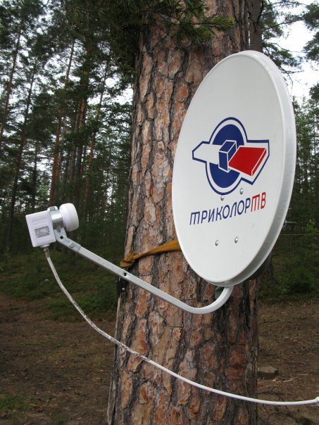 Тарелка