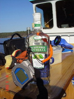 VR-3 на березовых бруньках