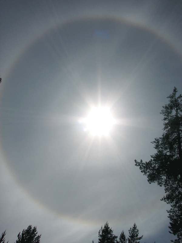 Открытие сезона 2007 Открытие сезона 2007