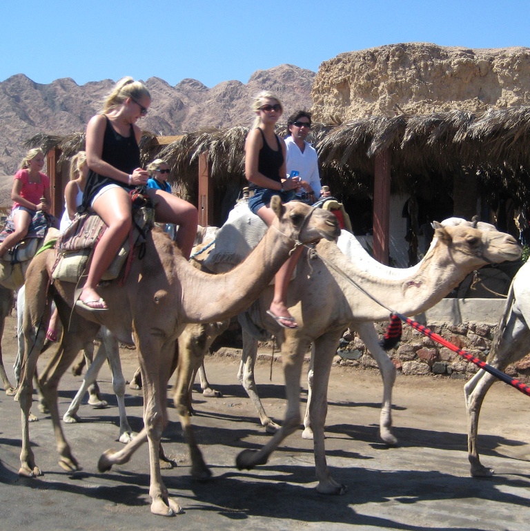 Дахаб, Canyon. Дахаб, Canyon.