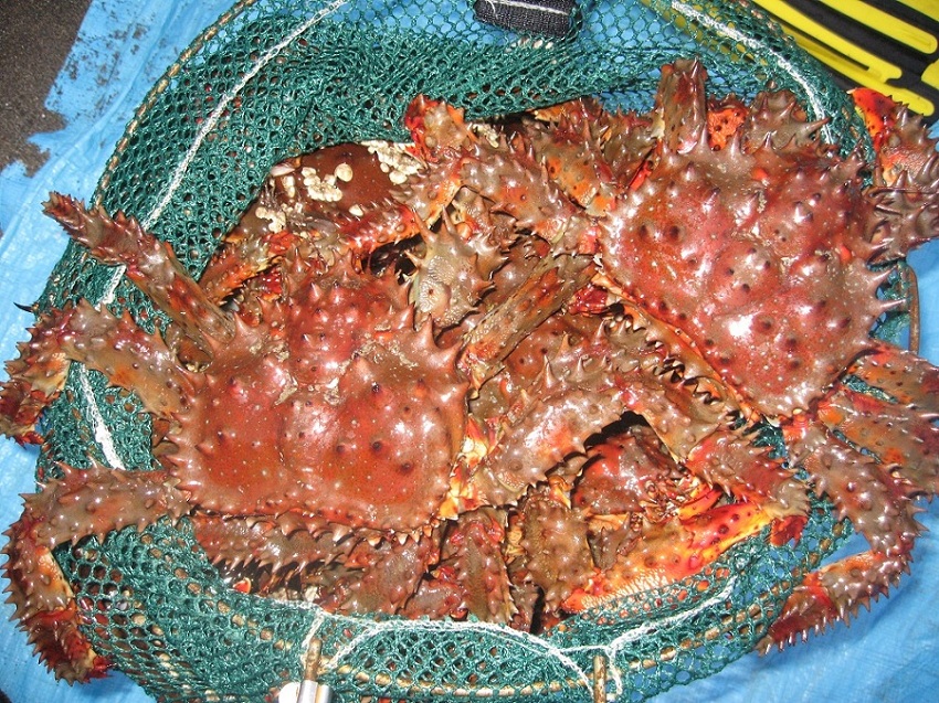 Сахалин 2011 Сахалин 2011