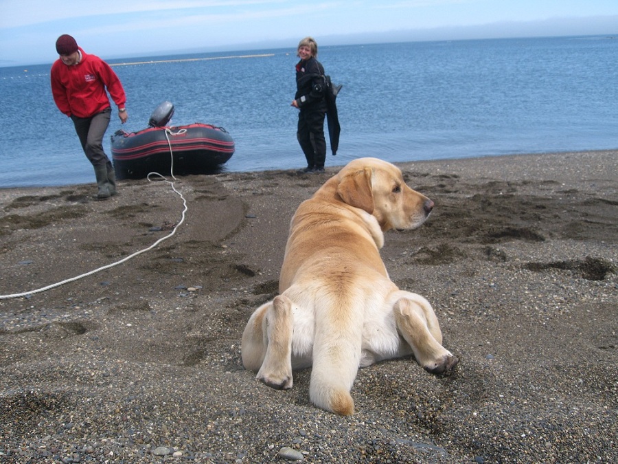 Сахалин 2011 Сахалин 2011