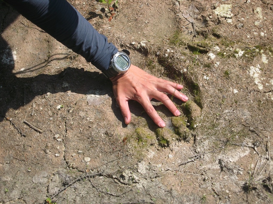 Сахалин 2011 Сахалин 2011