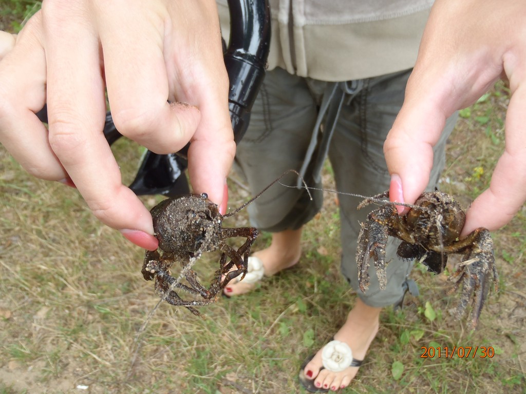 Валдай, 2011 Валдай, 2011