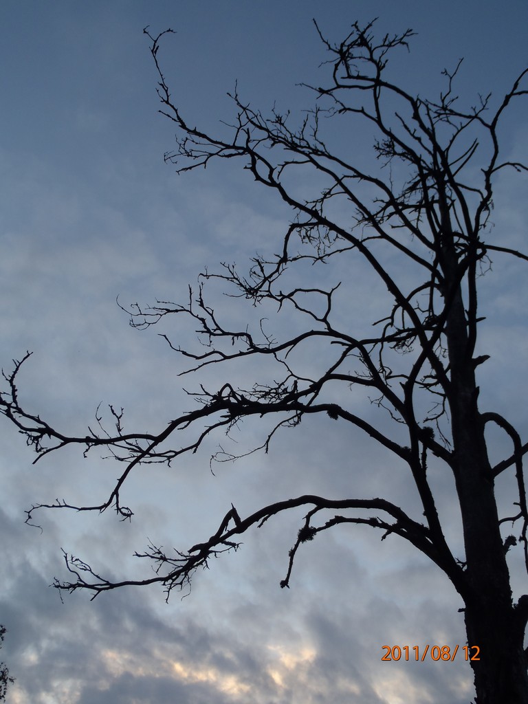 Ладога 2011. Морской Охотник.