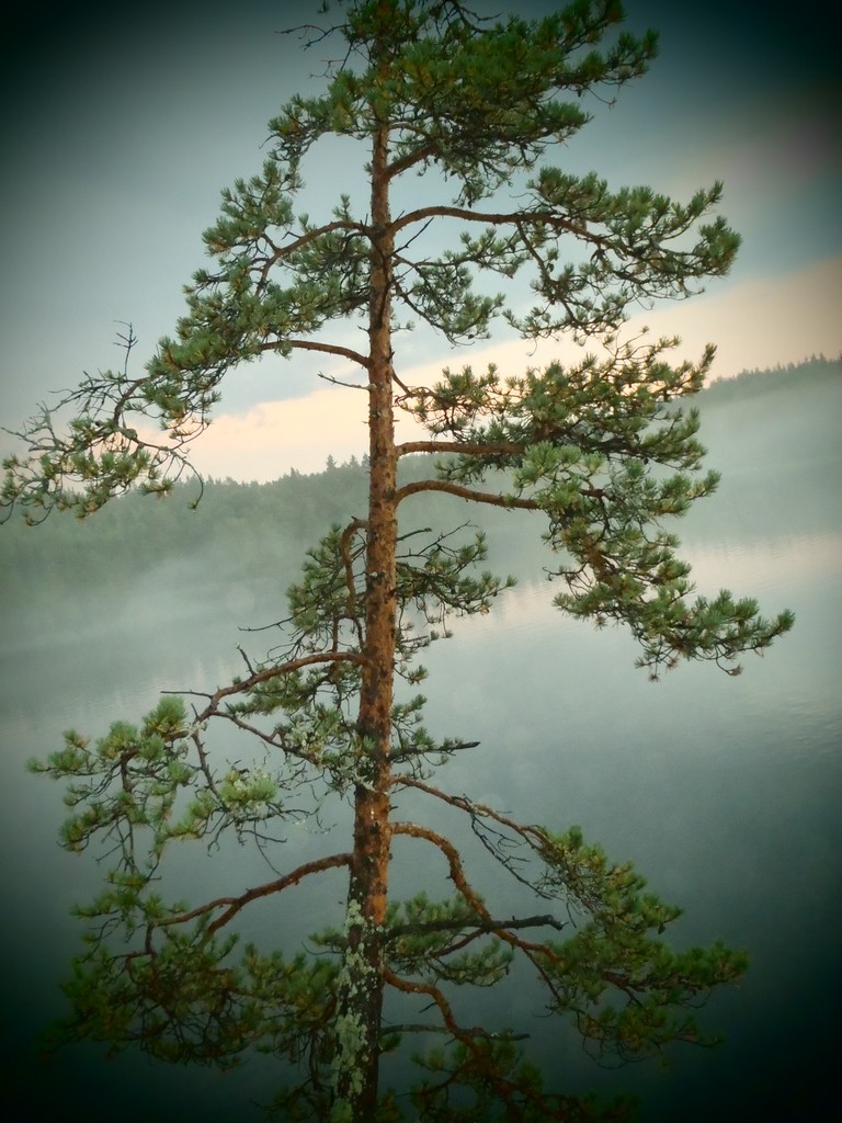 Ладога 2011. Морской Охотник. Ладога 2011. Морской Охотник.