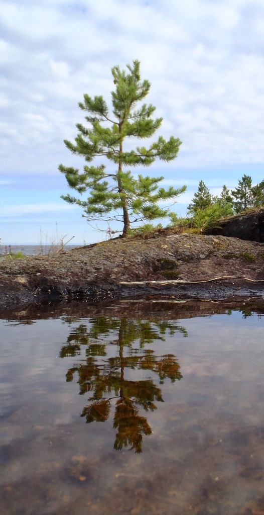 Ладога 2011. Морской Охотник.