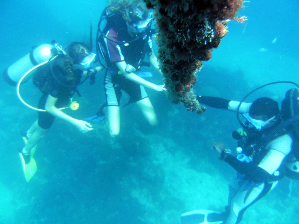 День Мирового Океана в Бока Чике. Доминикана День Мирового Океана в Бока Чике. Доминикана