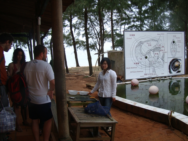 Phu-Quoc жемчужная фабрика