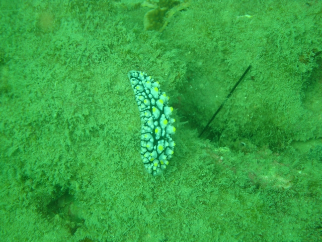 Phu-Quoc