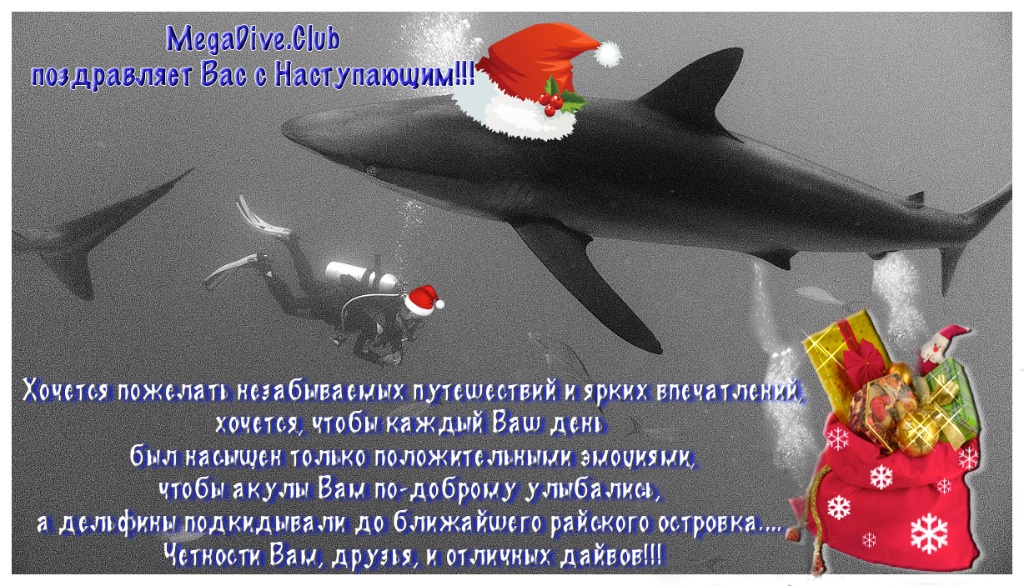 Нет повода не выпить!!! НГ MegaDive! Нет повода не выпить!!! НГ MegaDive!