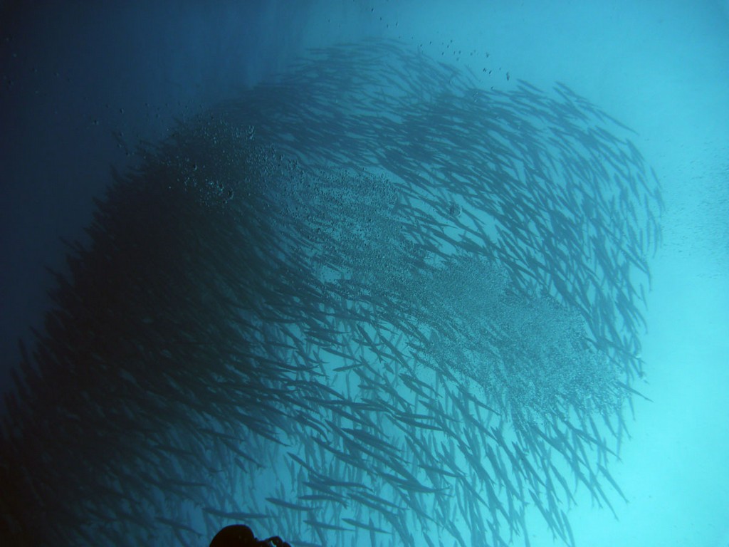 Судан_январь 2012 Судан_январь 2012