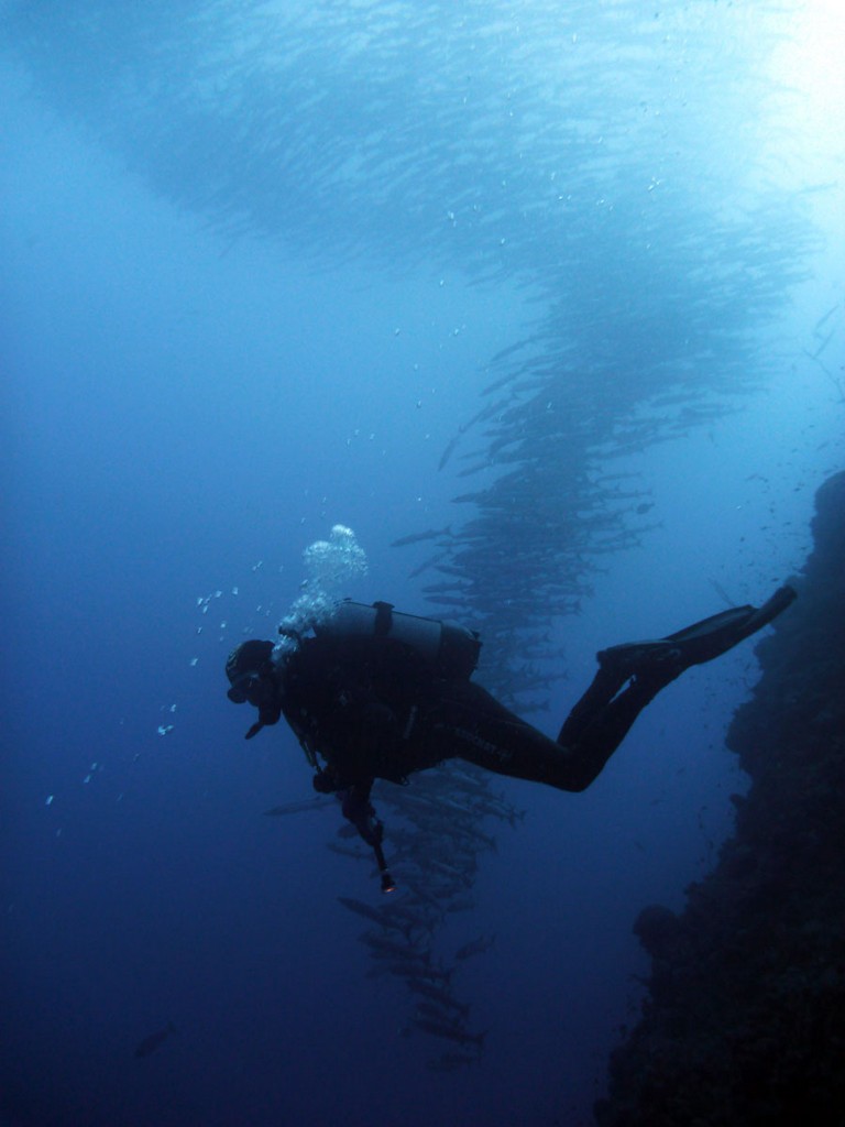 Судан_январь 2012 Судан_январь 2012