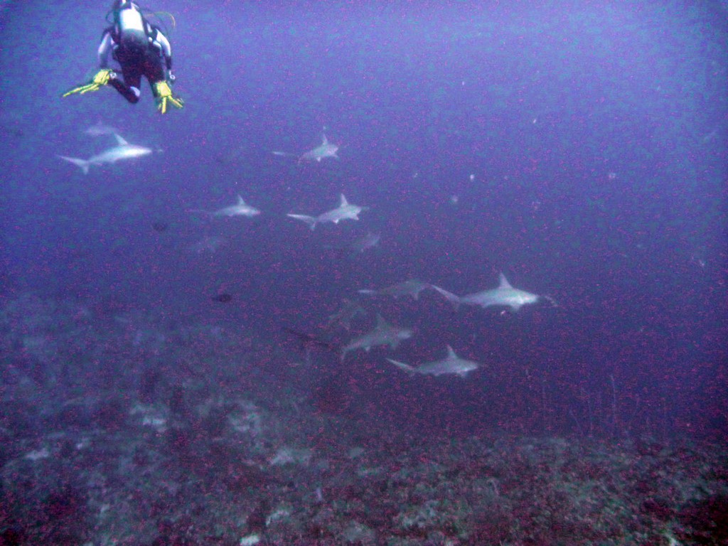 Судан_январь 2012 Судан_январь 2012