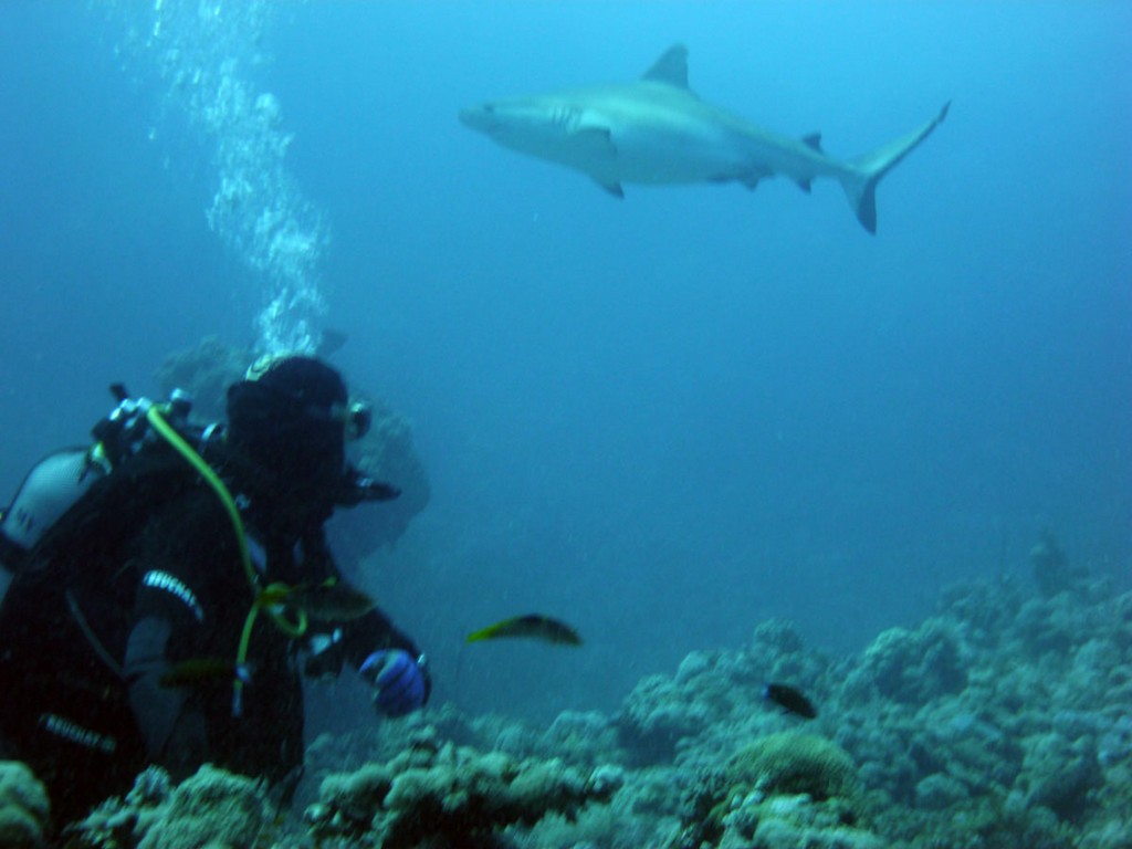 Судан_январь 2012 Судан_январь 2012