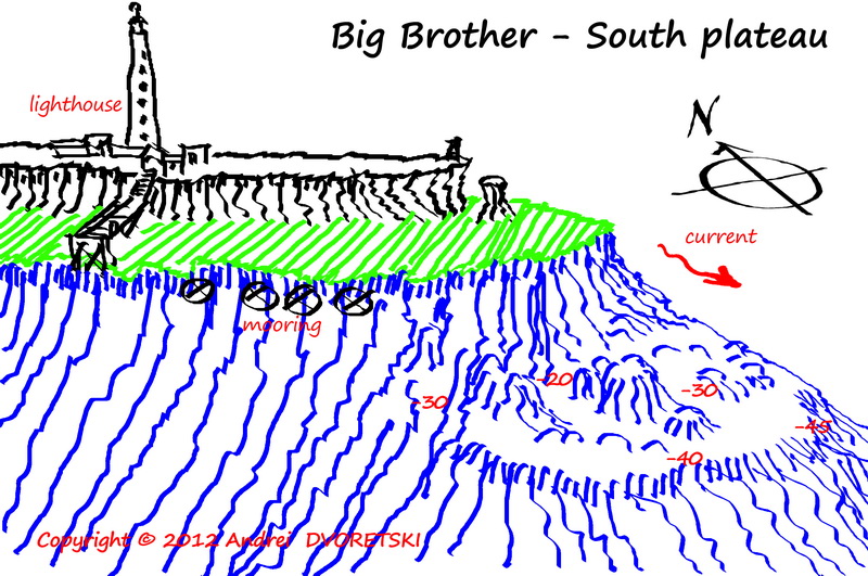 Big Brother - South