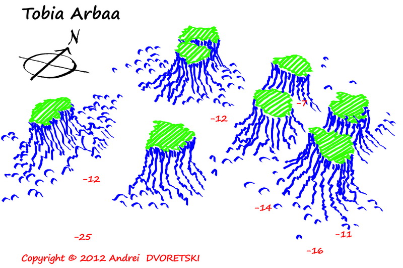 Tobia Arbaa