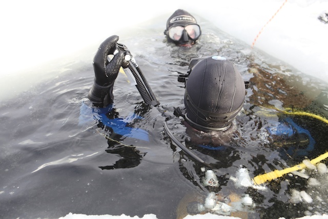 Белое. д-ц "Полярный круг" Белое. д-ц "Полярный круг"