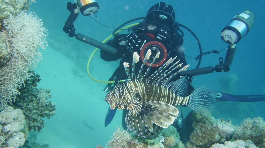 Сафари Египет май 2012 Сафари Египет май 2012