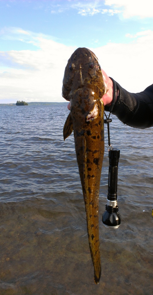 Лагерь на о.Комсомольское Лагерь на о.Комсомольское