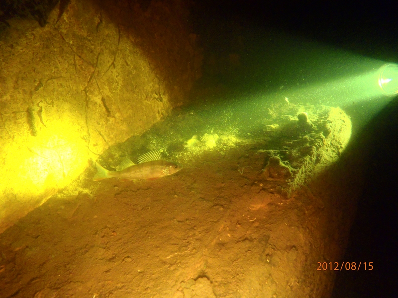 Ладога. Морской Охотник (Sea Hunter) авг.2012