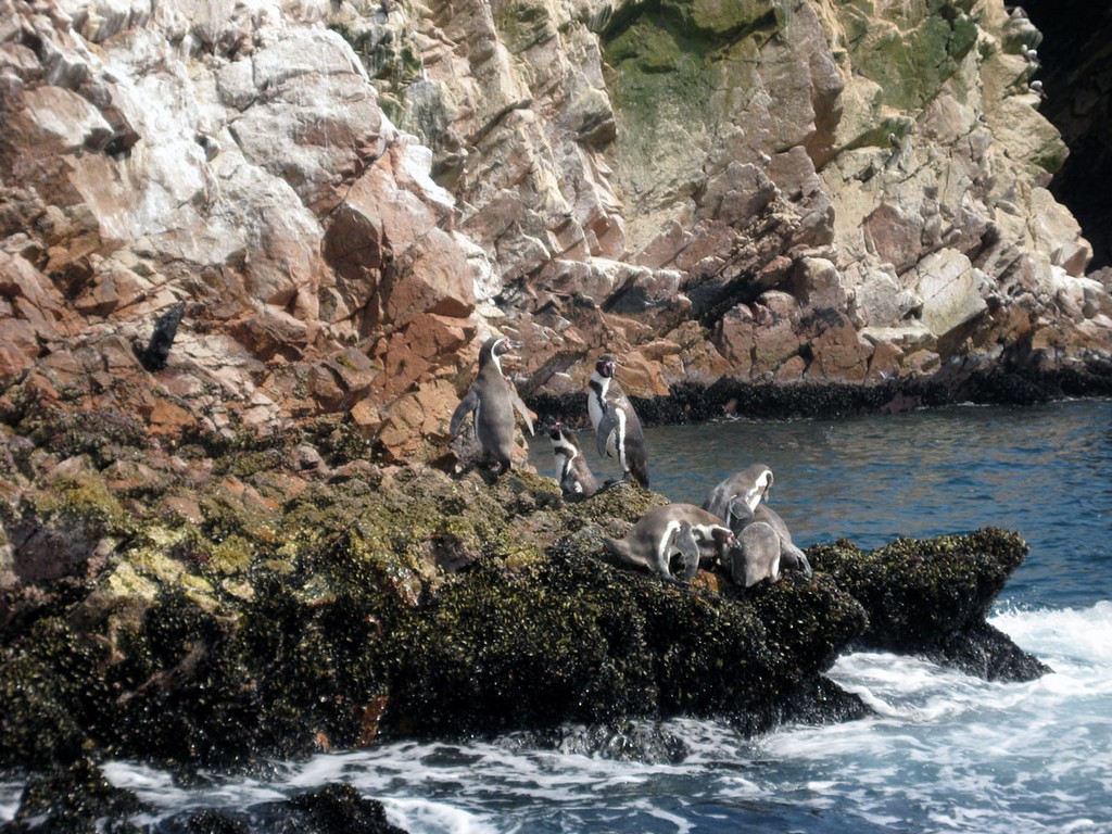 Галапагосы