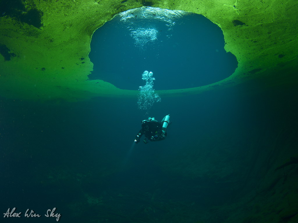 Manatee Springs