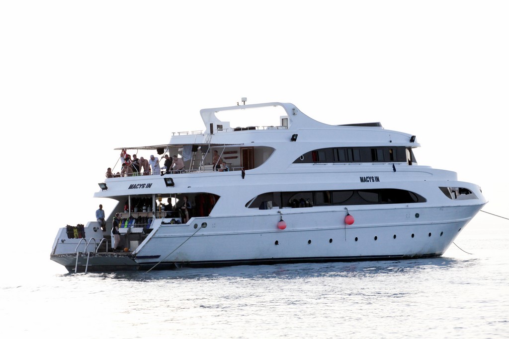 Северное сафари, март 2013