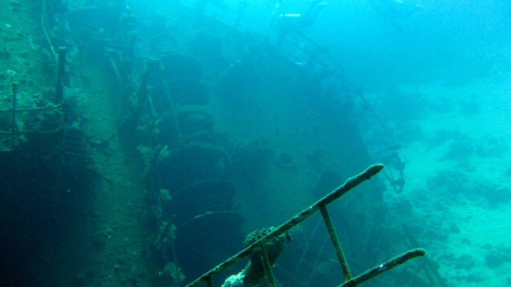 Северное сафари, март 2013