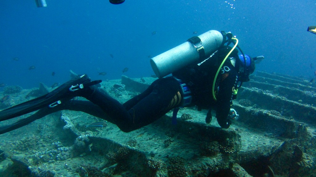 Северное сафари, март 2013