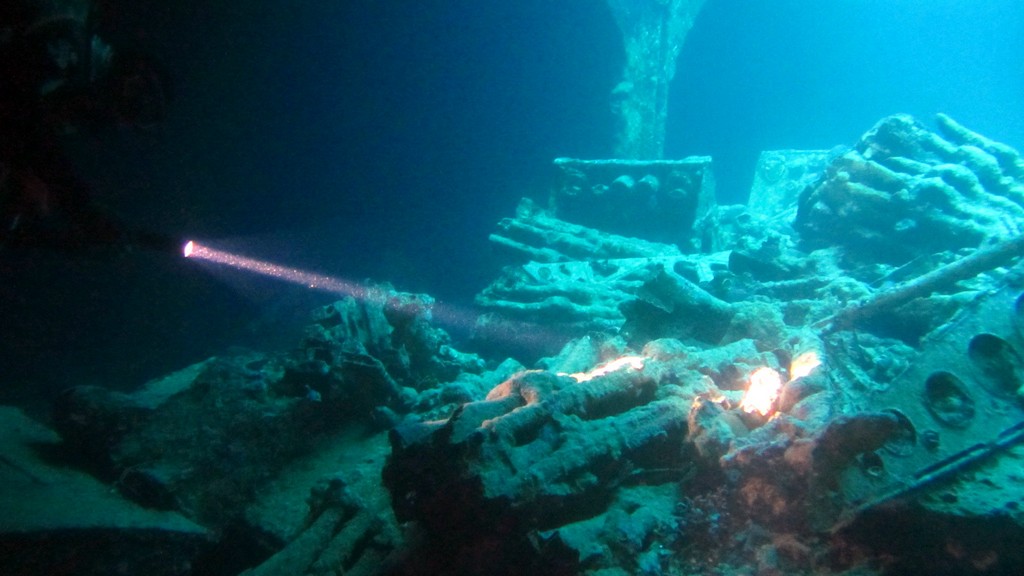 Северное сафари, март 2013