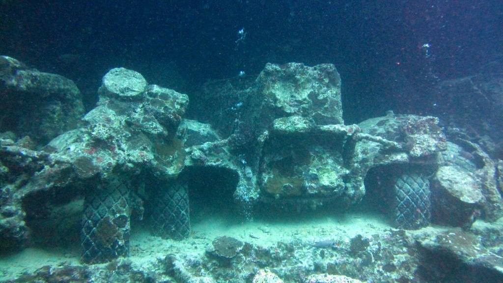 Северное сафари, март 2013